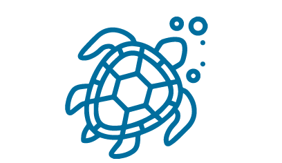 support-galapagos-ecosystem-conservation-efforts